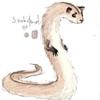 snakeferret