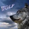 WOLF368