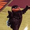 WildHokie1