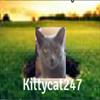 Kittycat247