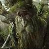 treebeard