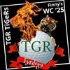 fyrdog9
