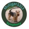 Mulligan1313