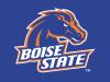 GOBOISESTATE